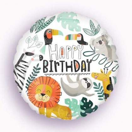 S40 18C HX GET WILD BIRTHDAY