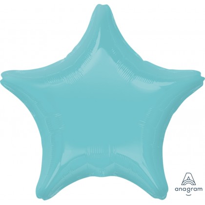 S15 19" Robins Egg Blue Standard Star XL®