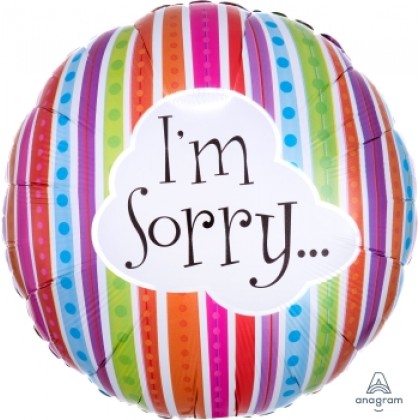 S40 17" I’m Sorry Colorful Lines Standard XL®