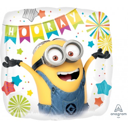 S60 17" Despicable Me Party Standard HX®