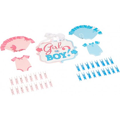 Girl or Boy Reveal Activity
