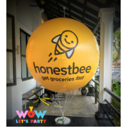 Inflation Service - Giant PVC Balloon