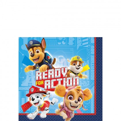 Paw Patrol Adventures™ Beverage Napkins
