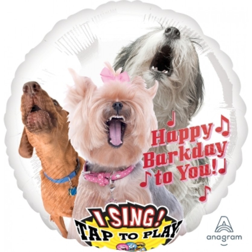 Birthday Party Supplies