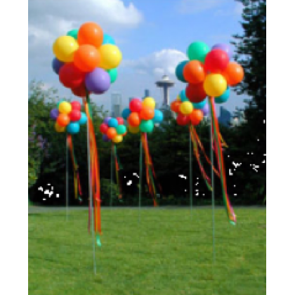 Round Shaped Topiary-Helium