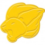 Birthday Party Supplies