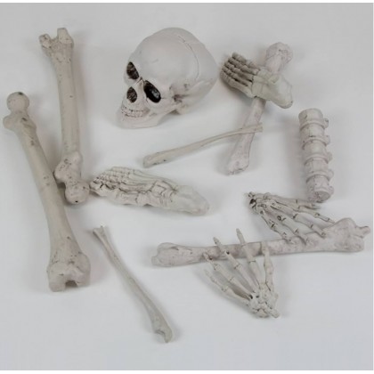 Bones Decoration Kit