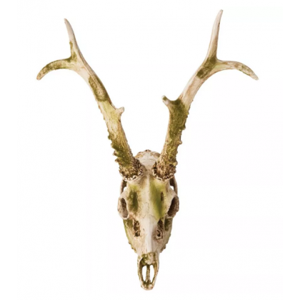 MOSSY DEER SKULL