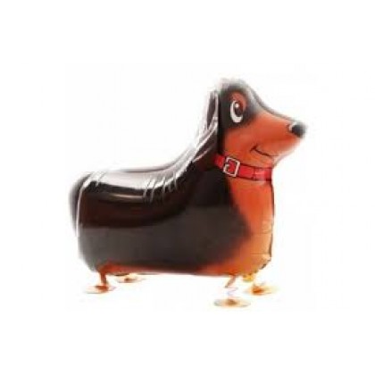 Mini Sausage Dog Walker