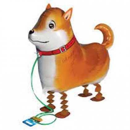 Mini Shiba Walker