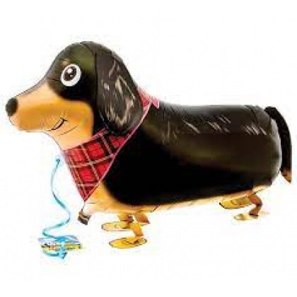 Mini Daschund Walker