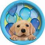 Birthday Party Supplies