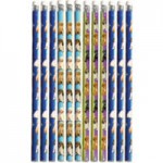 Birthday Party Supplies