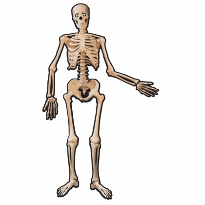 Skeleton Jointed Paper Cutout