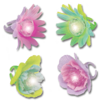 Birthday Party Supplies