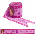 Birthday Party Supplies