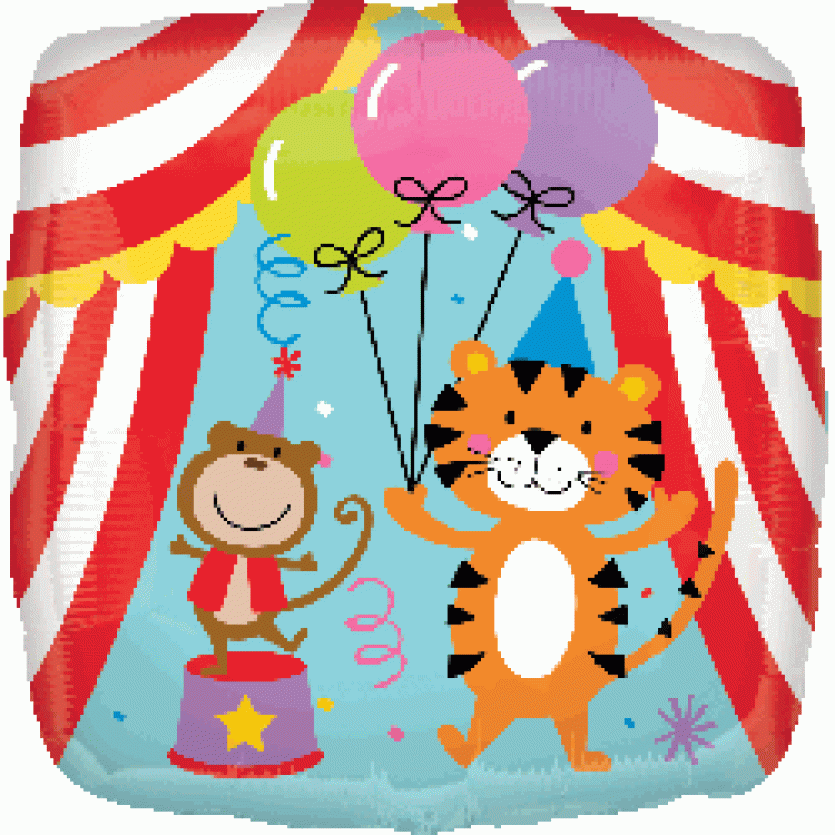 Birthday Party Supplies