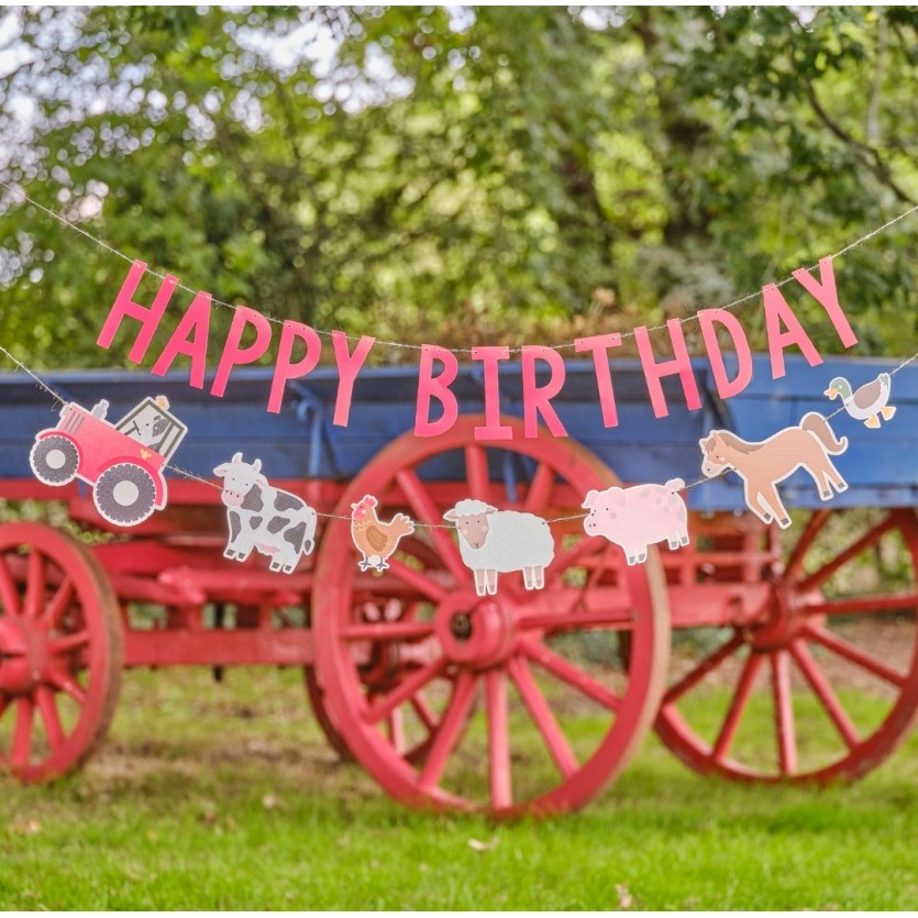 Birthday Party Supplies