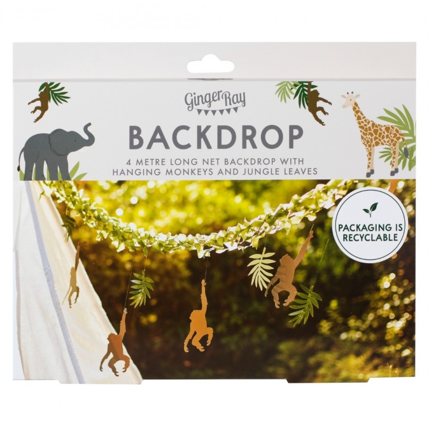 Birthday Party Supplies