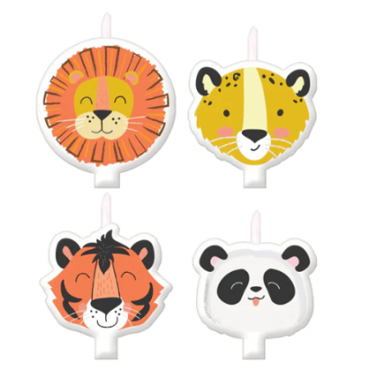 Birthday Candle Get Wild