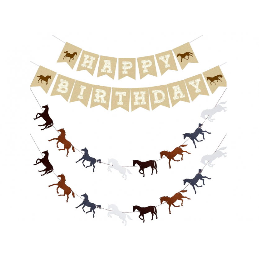 Birthday Party Supplies