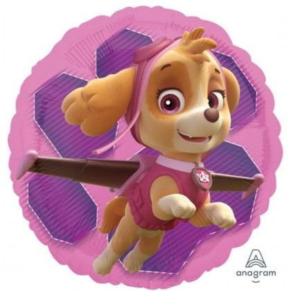 Standard Paw Patrol Skye & Everest Foil Balloon S6