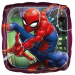 Birthday Party Supplies