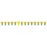 Birthday Party Supplies